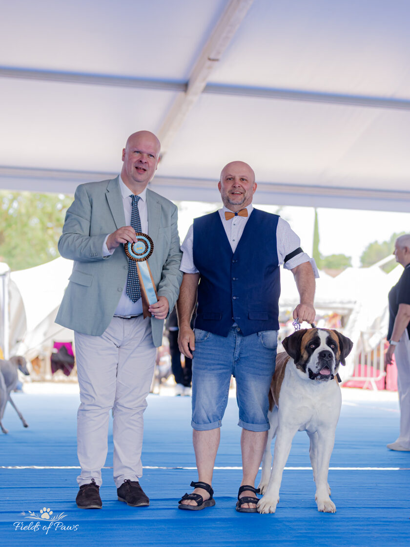 Umag_sobota_postoj-1.jpg