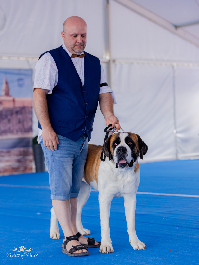 Umag_sobota_postoj1.jpg